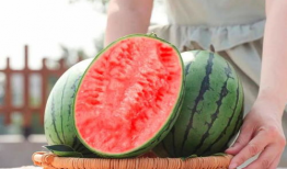 吃瓜网哪里进,揭秘热门话题背后的秘密入口