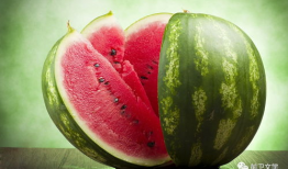 吃瓜网官网免费,免费畅享娱乐资讯的乐园